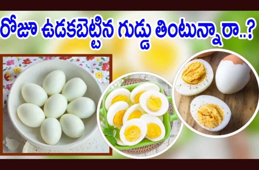 Are you eating egg daily?