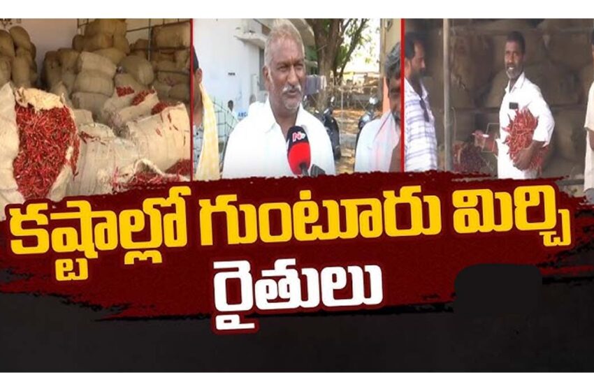  గుంటూరు మిర్చి యార్డులో రైతుల ధర్నా..!